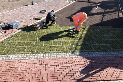 bvb landscaping